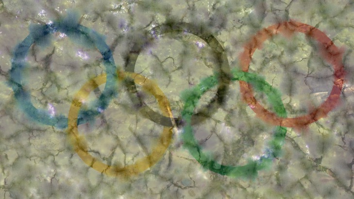 The Paris Olympics are a microcosm of what Kamala would do to America