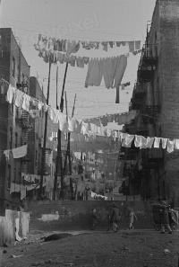 Mamdani, you need to chat with Milei