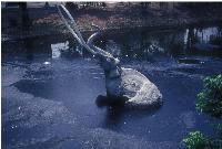 What environmental wackos don't get about 'fossil' fuels