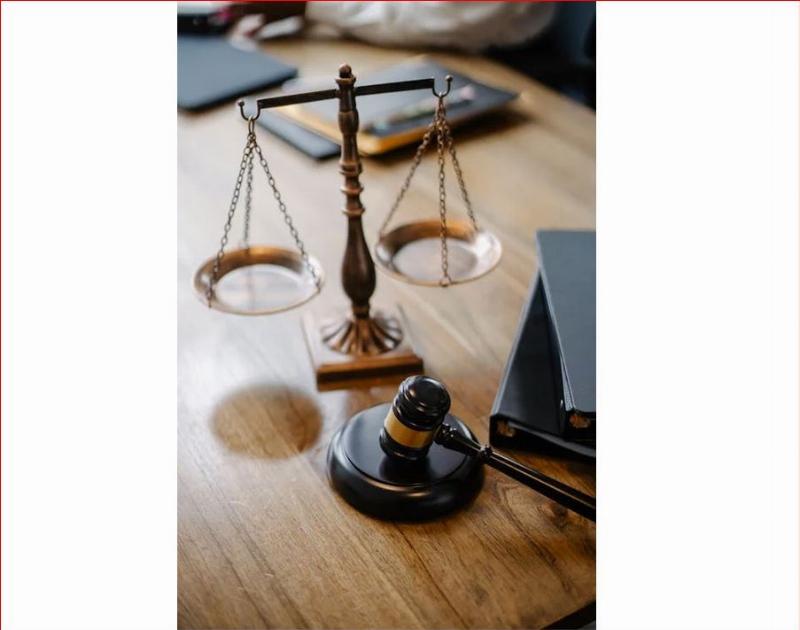 NextImg:To defuse the risk from unvetted illegal migrants, settle the Constitutional questions