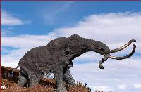 Bring back the woolly mammoth?
