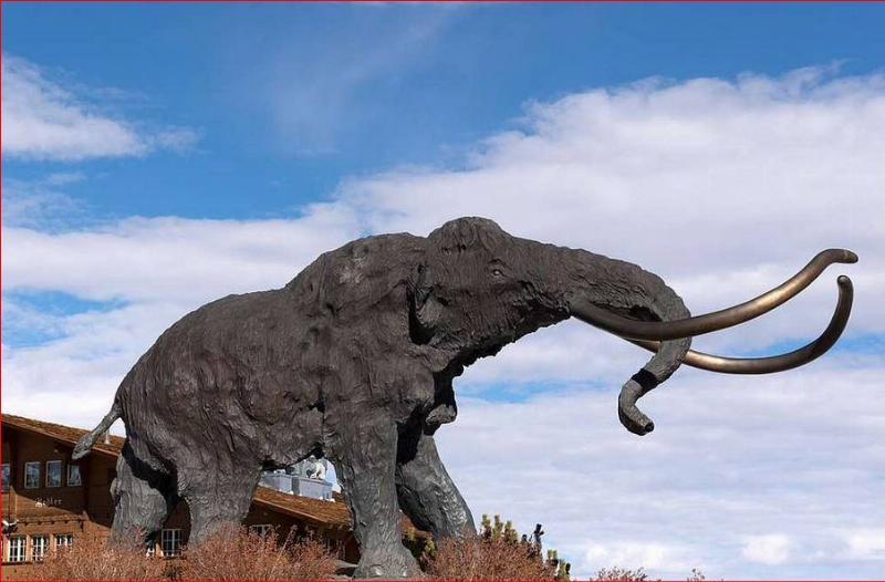 NextImg:Bring back the woolly mammoth?