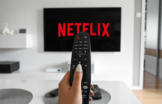 Netflix propaganda flicks