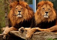 How Ben Shapiro anticipated Charlie Kirk’s assassination