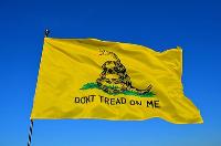 The Gun Control Canard