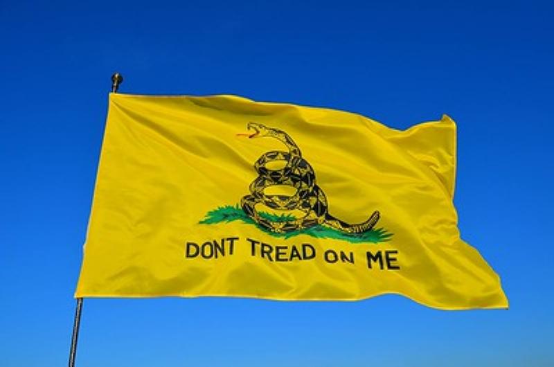 NextImg:The Gun Control Canard