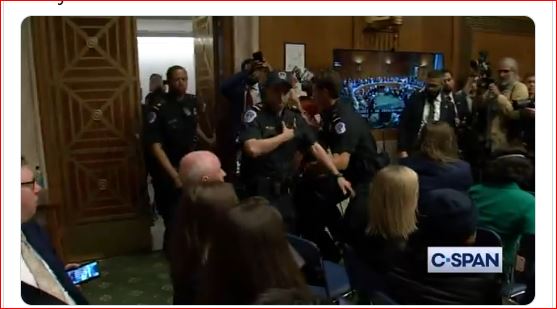 Wokester junk food magnate turns congressional hearing into his clown show