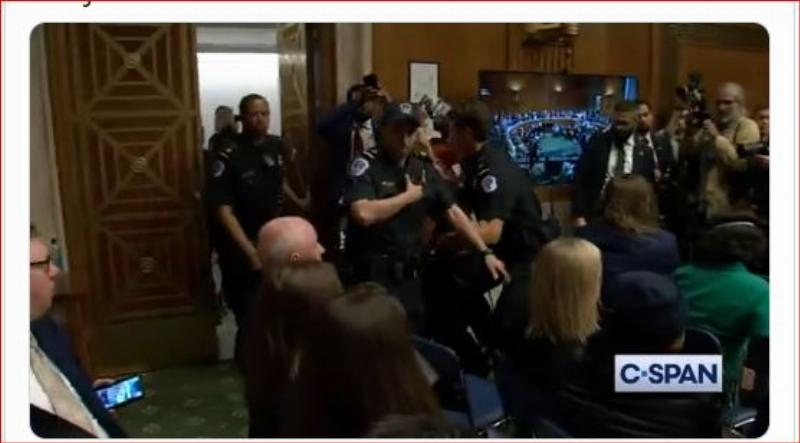 NextImg:Wokester junk food magnate turns congressional hearing into his clown show