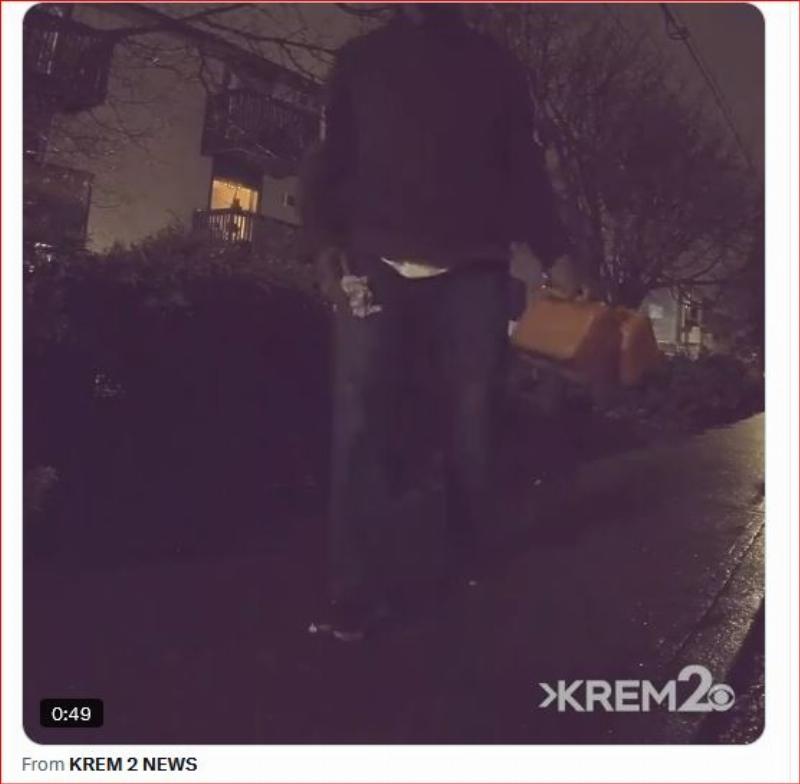 NextImg:A creepy, crawly, ActBlue-fueled campaign of violence against Elon Musk's Tesla?