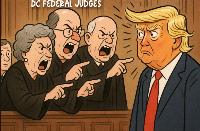 DC judges let Chief Justice Roberts know that Donald Trump is a bad dude