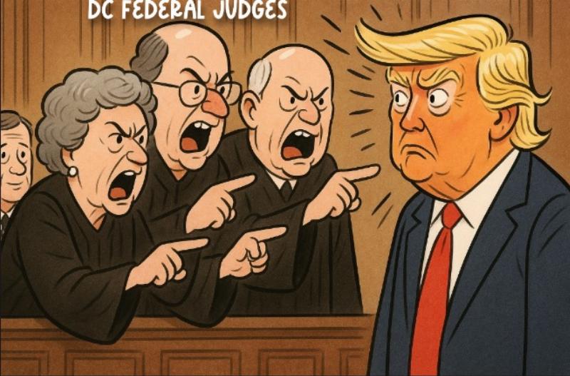 NextImg:DC judges let Chief Justice Roberts know that Donald Trump is a bad dude