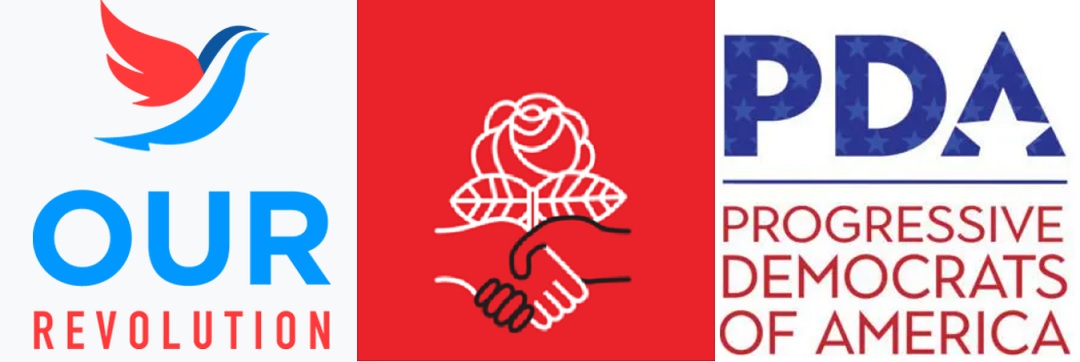How did socialists perform in the 2024 election?