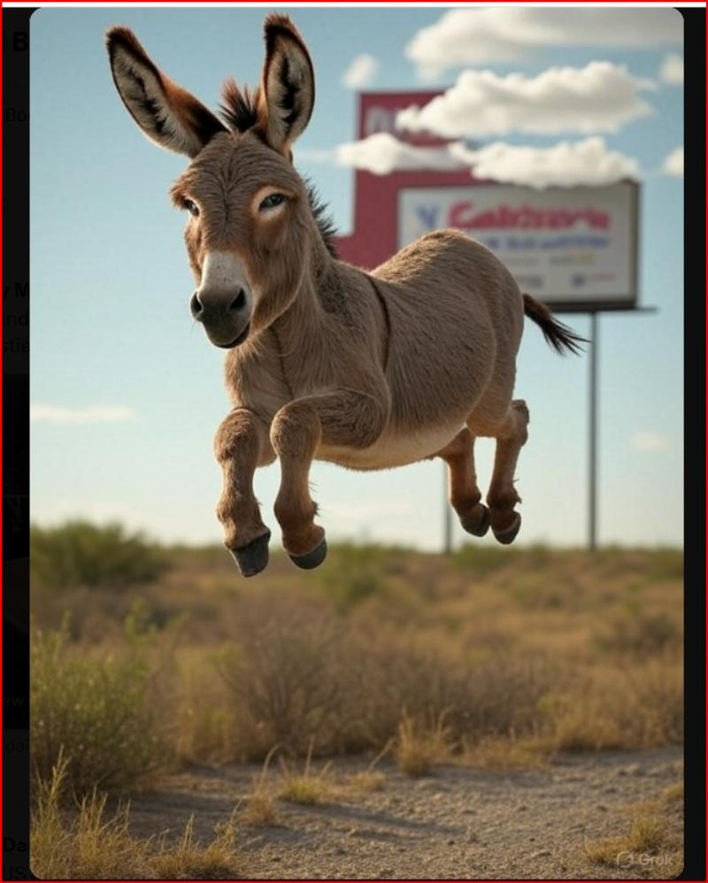 NextImg:Texas's flying jackasses should be careful about that 'debate' they wish for