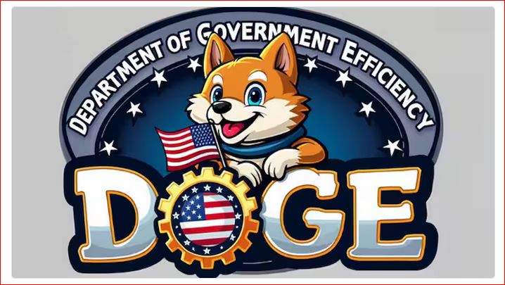 The DOGE FAQs