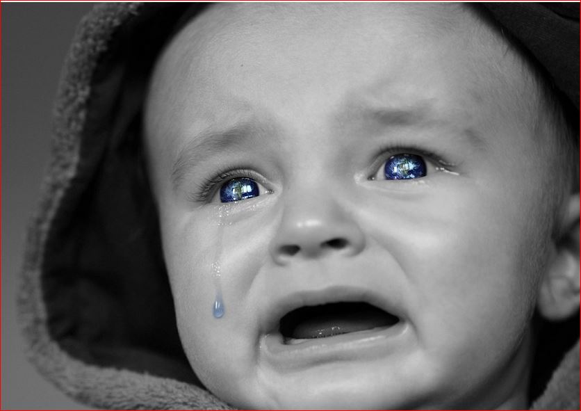 RFK, Jr. and liberal tears