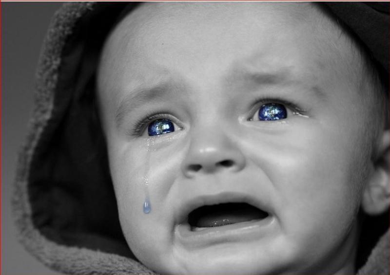 NextImg:RFK, Jr. and liberal tears