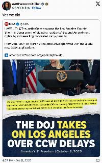 The DOJ sues LA over concealed carry