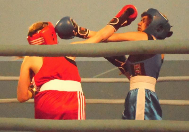 NextImg:Americans have already chosen their fighter