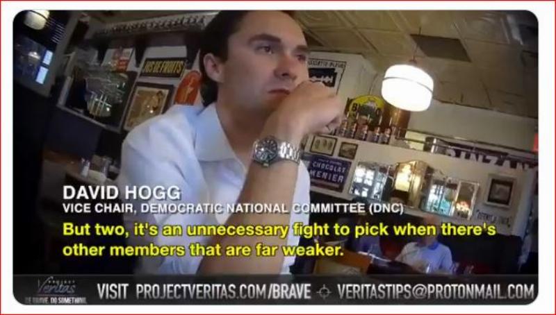 NextImg:David Hogg lifts the slimey lid off the state of the Democrat party