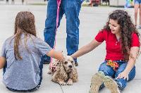 Furry friends vs. future generations
