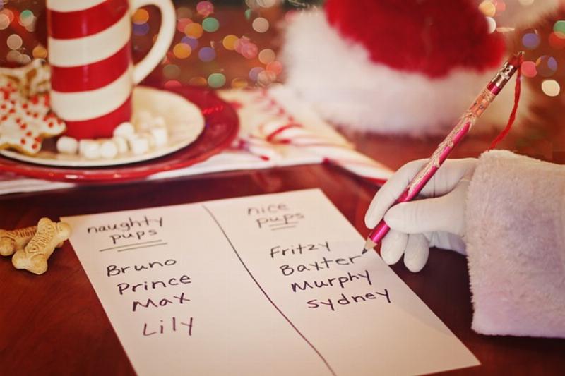 NextImg:A very incomplete 2024 naughty list