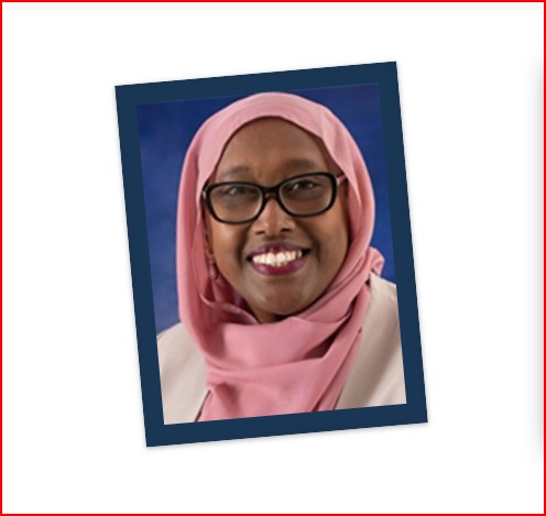 Maine statehouse representative says her priority is developing 'our country of Somalia'