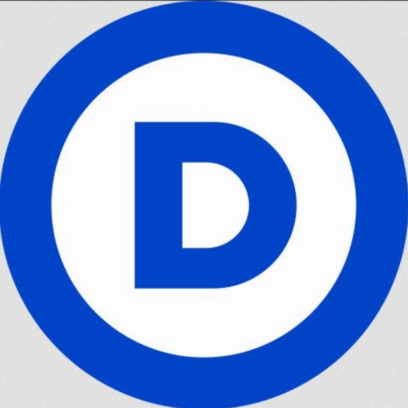 NextImg:The pro-democracy party?