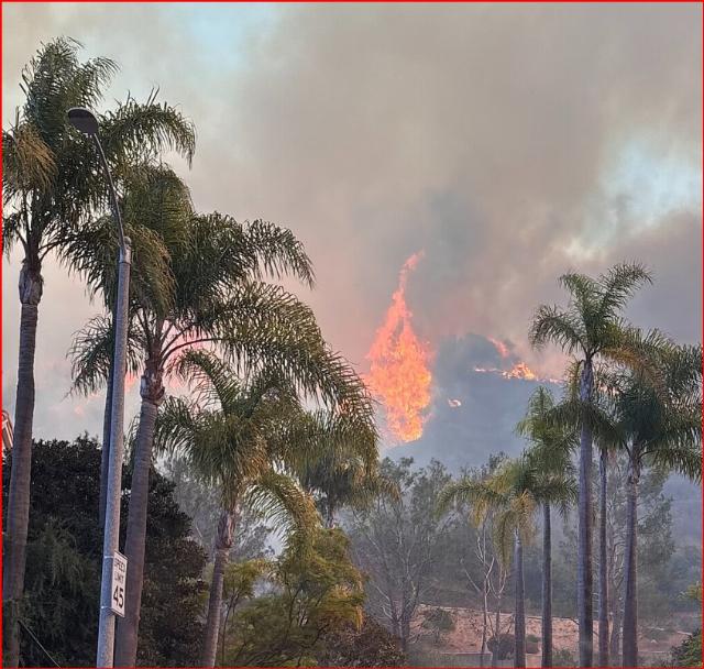 Palisades fire