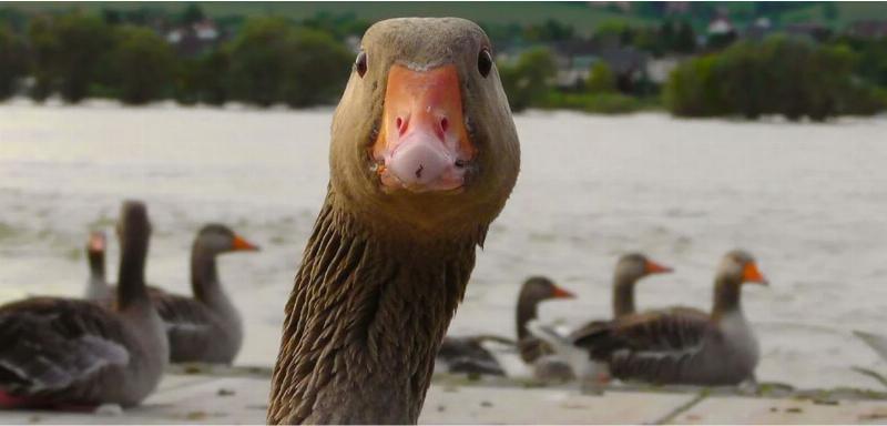 NextImg:Is Joe Biden a sitting duck? Biden should be more concerned than anyone about the precedent the Trump trials are setting