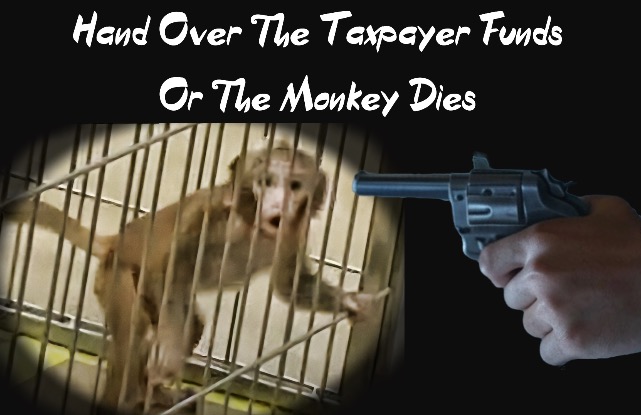 Harvard tells Trump to give it money or it’ll shoot the monkey
