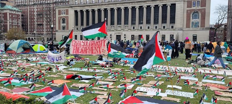 NextImg:Gaza, Israel, and Entertainment