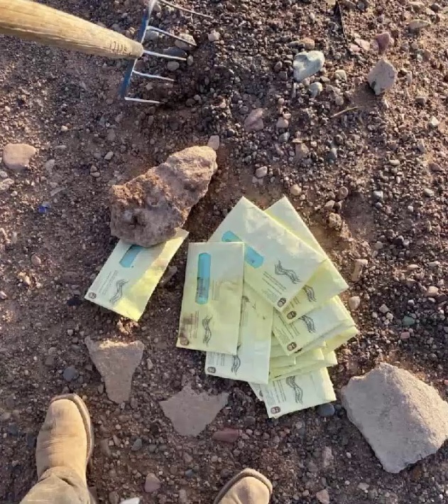 Should the GOP Adopt Ballot Harvesting?