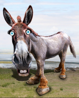 The Democrats' strategy to dismiss the uncensored J6 videos evolves