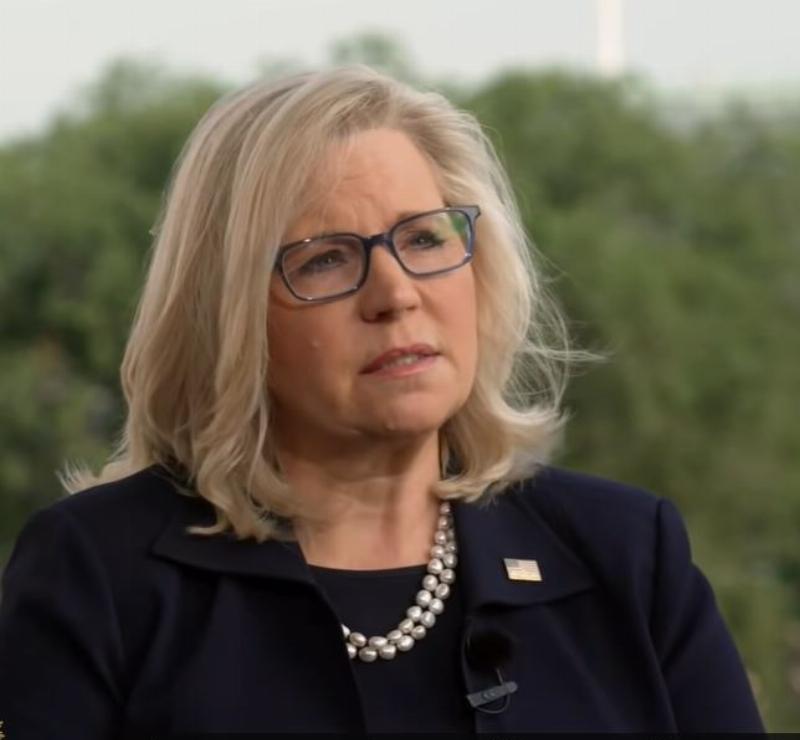 NextImg:Liz Cheney’s never-ending farewell tour: now featuring JD Vance