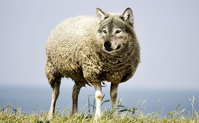 The SPLC is a leftist wolf in civil rights clothing