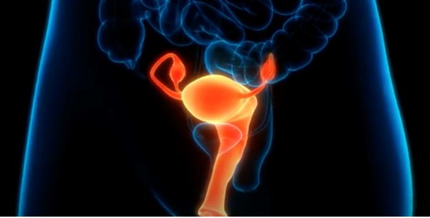 Follow the Science -- Except for Sex and Gender