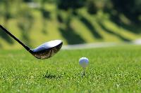 Golf:  The tyranny of excellence