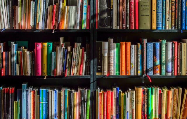 <p><em>Image via <a href="https://www.pexels.com/photo/books-in-black-wooden-book-shelf-159711/">Pexels</a>.</em></p>