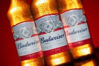 Forgive Anheuser-Busch over Bud Light? Not yet.