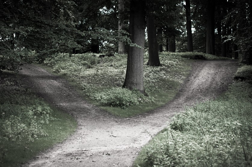 Tradition, progress, and political polarization