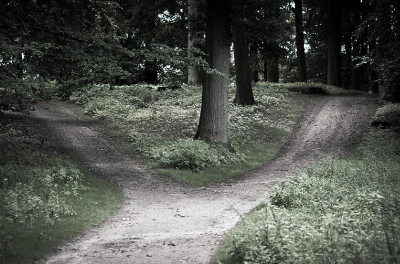 NextImg:Tradition, progress, and political polarization