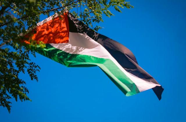 <p><em>Image via <a href="https://www.pexels.com/photo/palestine-flags-waving-behind-tree-19322197/">Pexels</a>.</em></p>