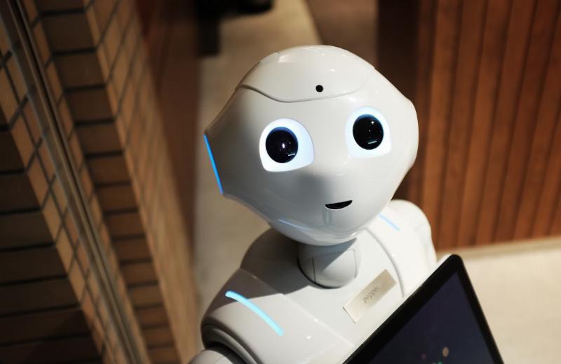 NextImg:Will robots end the use of cheap labor?