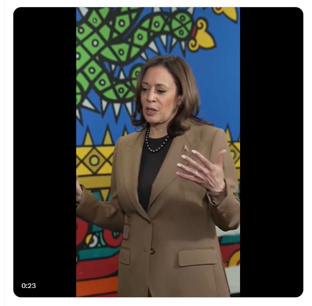 Kamala Harris explains it all out for you on Gaza