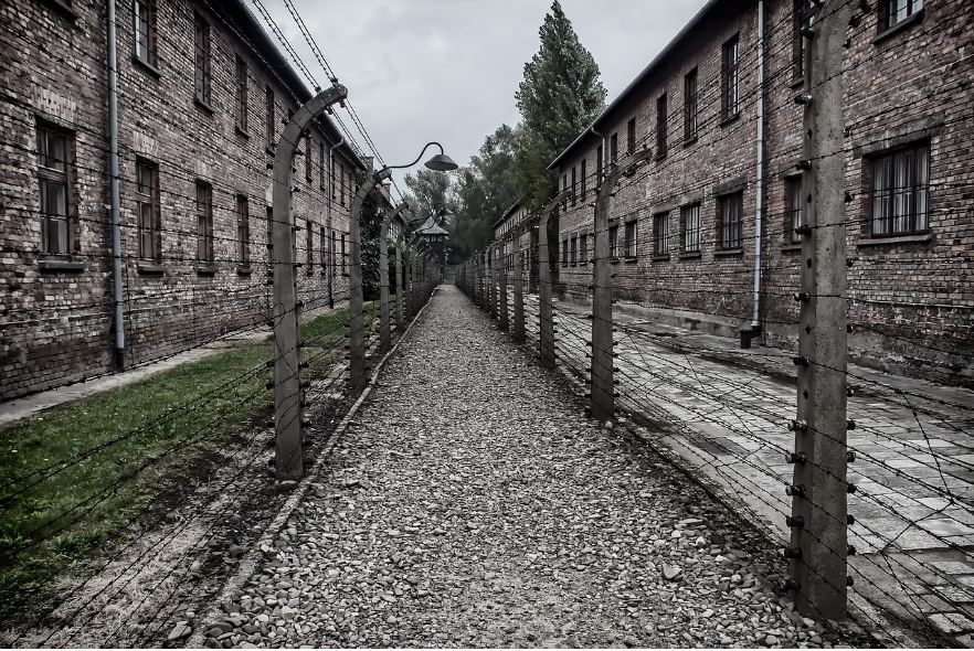 A Forgotten Voice Speaks of the Horrors of Auschwitz