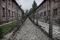 A Forgotten Voice Speaks of the Horrors of Auschwitz