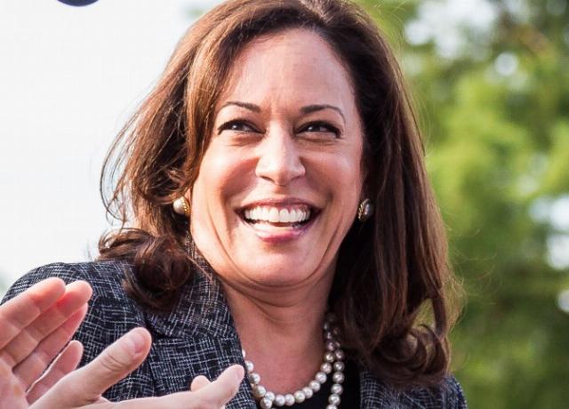 <p><em>Image: Mobilus In Mobili via <a href="https://commons.wikimedia.org/wiki/File:Sen_Kamala_Harris_Anti_Trump-Care_Rally_Capitol-2_(cropped).jpg">Wikimedia Commons</a>, <a href="http://creativecommons.org/licenses/by-sa/4.0/legalcode">CC BY-SA 4.0</a> (cropped).</em></p>