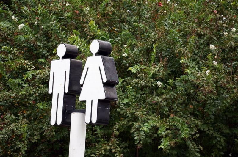 NextImg:It’s Transsexuality, Really