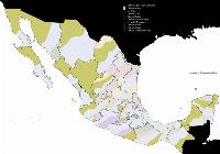 Bullets in Sinaloa