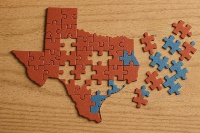 NextImg:We learned gerrymandering from Democrats